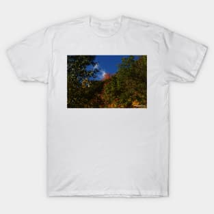 Blue Sky, Clouds and Fall T-Shirt